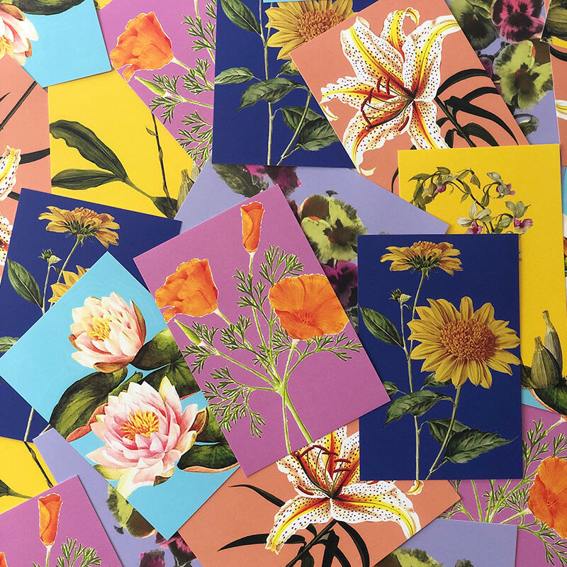 Flower Notes – Lucy's Market